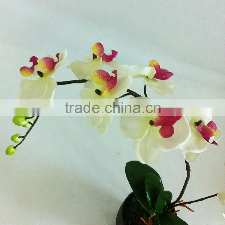 wholesale potted orchid table bonsai