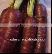 Natural water soluble color black carrot red