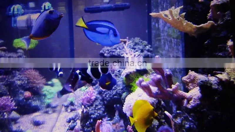 eSUN polycaprolactone (polymorph)for coral reef frag glue application in aquarium