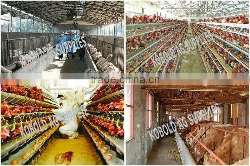 Rabbit drug feeding sprayer ,mecidine sprayer