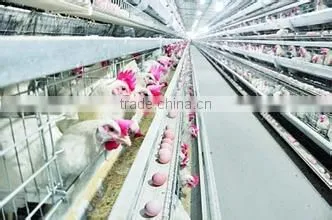 Prefabricated chicken house