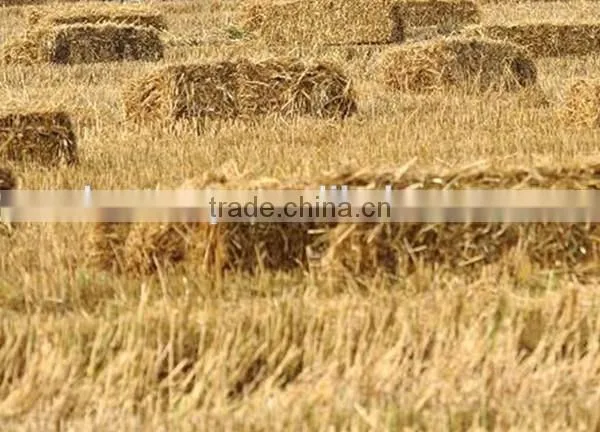 hot selling square shape rice straw baler for sale