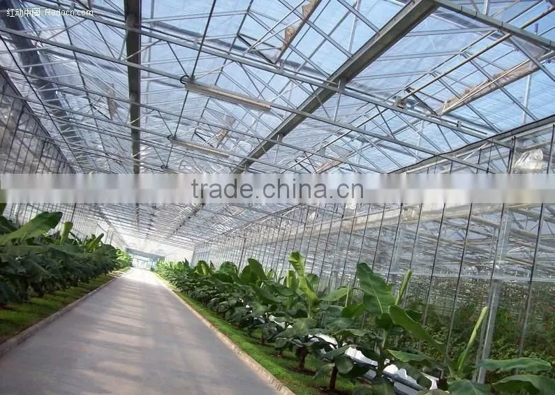Modern science and technology in greenhouse