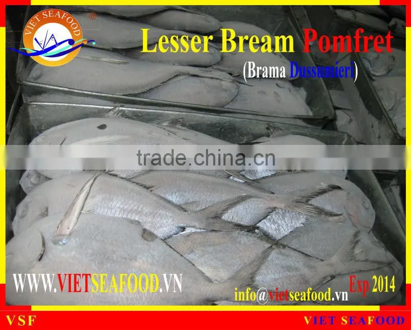 W/R FROZEN LESSER BREAM POMFRET