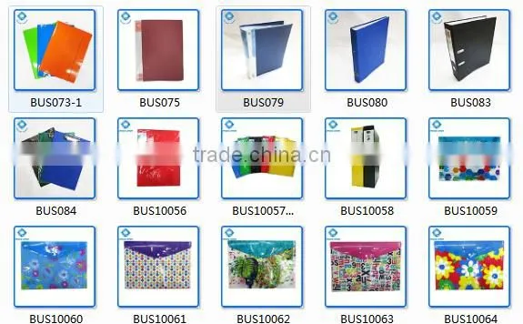Fancy A4 Size Office File Cover File Folder File Pocket