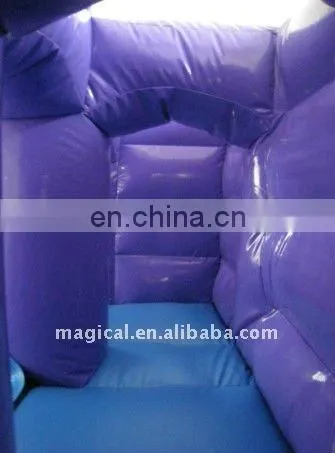 purple Inflatable water slide/water park toys