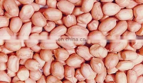 Africa peanut using Automatic Peeling Peanut Shell Machine and Peanut Cleaning Machine