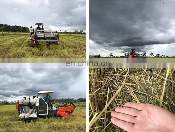 Wheat and Rice Machinery Harvester in India