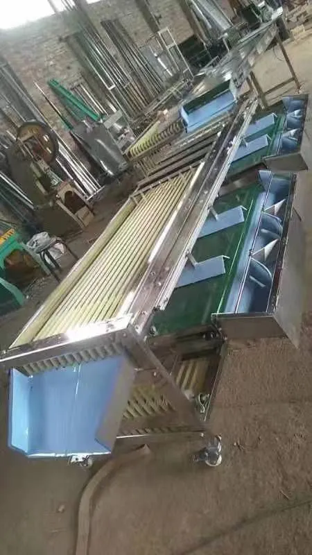 Green Lime Fruit Sorting Grading Machine Sorter Grader Machine Line Classifying Machines