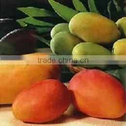 High Imitation Artifical Fruit For Decoration