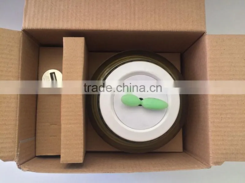 Mini air purification apparatus for car and home