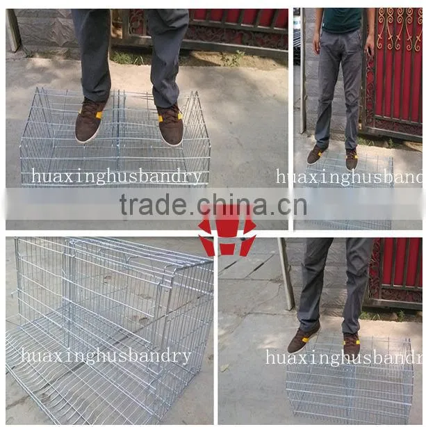 Animal Farm, Poultry Equipment, Rabbit Cage for Pet Cage