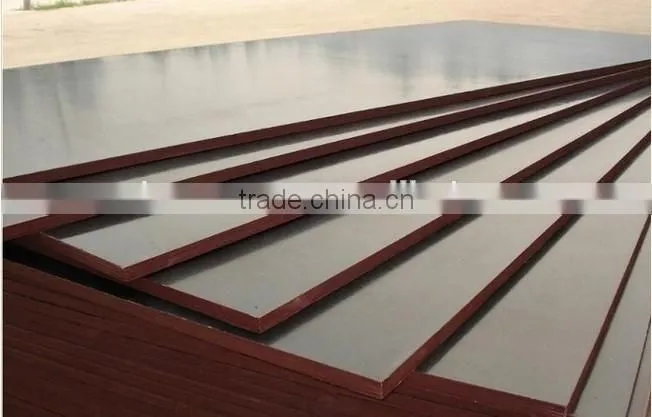 Plywood/ film faced plywood/commercial plywood