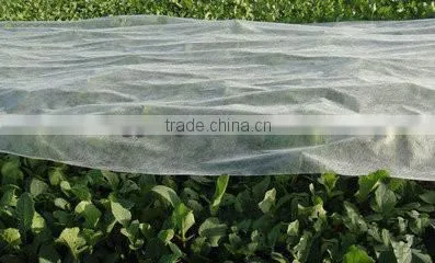 hot sale 30g cheap pp fabric for agriculture with ISO9001