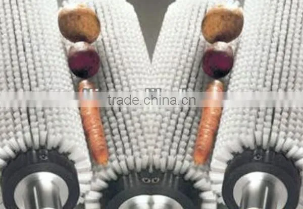 Hot sale potato garlic cleaning peeling machine for commercial use