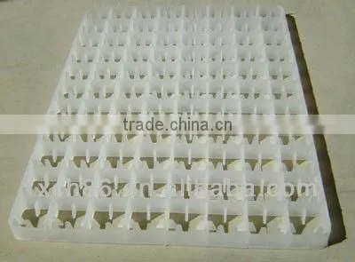 New Design Plastic chicken Egg Tray Colorful Egg Trays for sale
