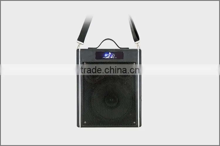 Portable 6.5 Inch Sound System New Design Wooden Box DJ Woofer Speaker