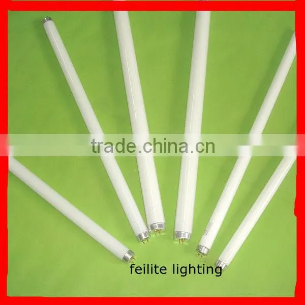 Fluorescent lamp high efficiency fluorescent light F28T5 fluorescent