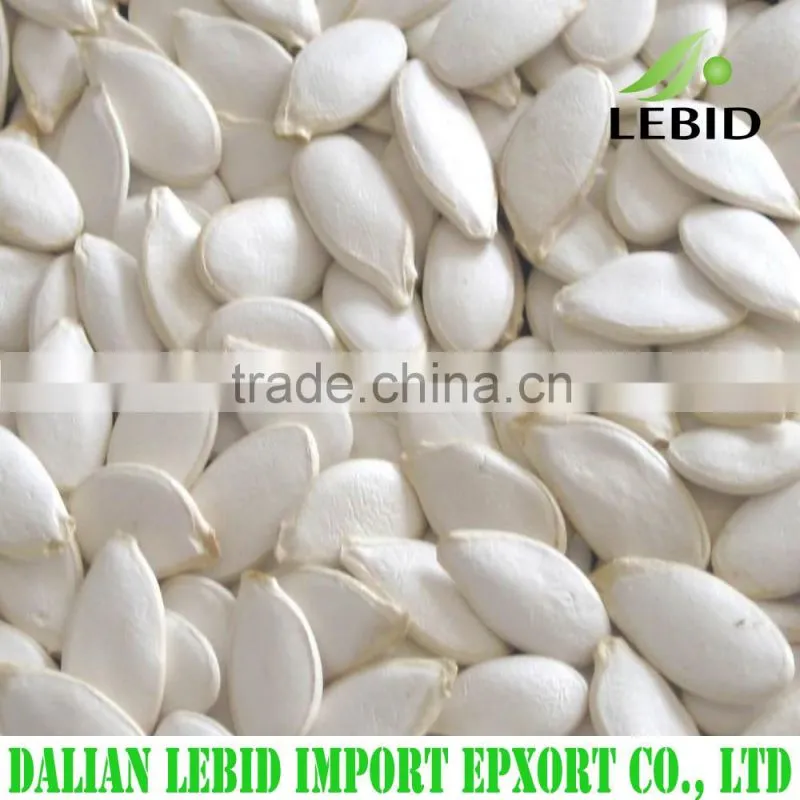 High quality white kidney beans spanish type