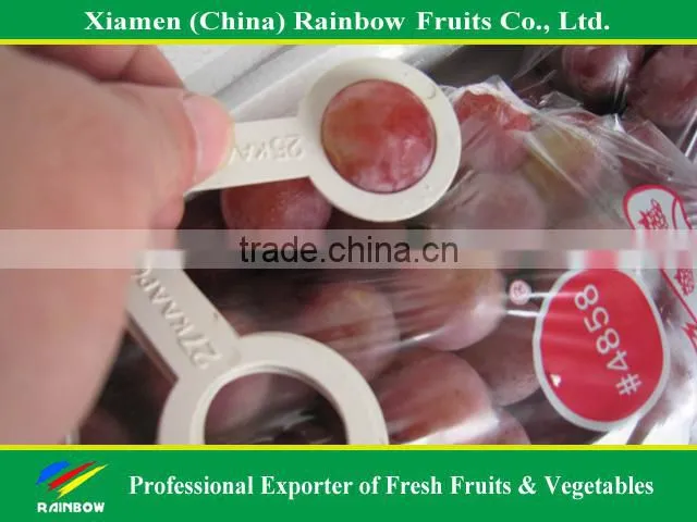 fresh Red Sweet seeded grape fruit export from China