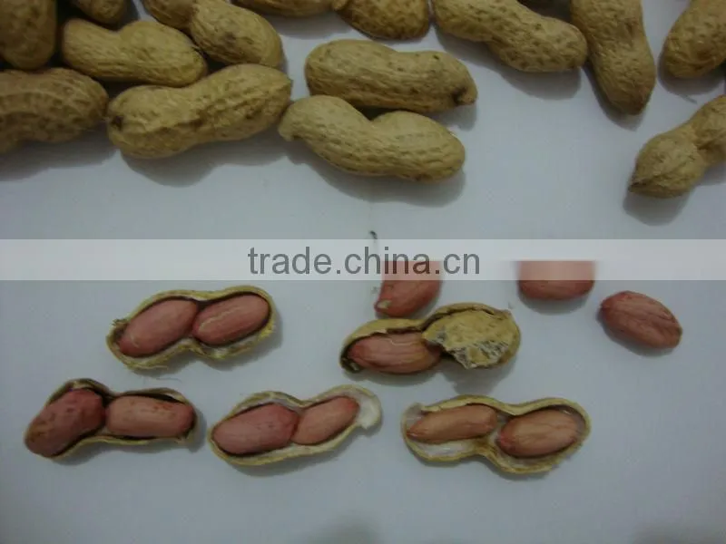 peanut inshell