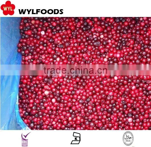 IQF china price for frozen linggonberry hot sales