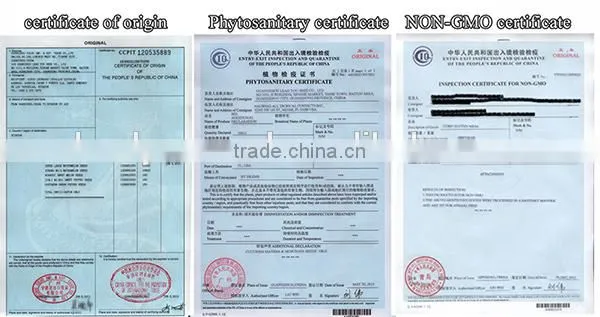NOK01 Siqu hybrid okra seeds,okra seed price