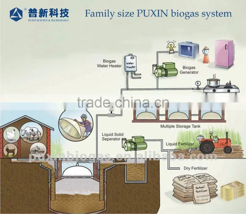 Low cost PUXIN family size biogas plant to treat animal faeces