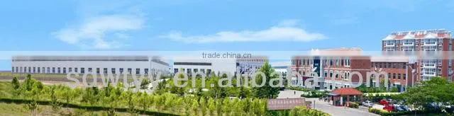 hydraulic cylinder for fitness equipment,such as treadmills,from shandong province China
