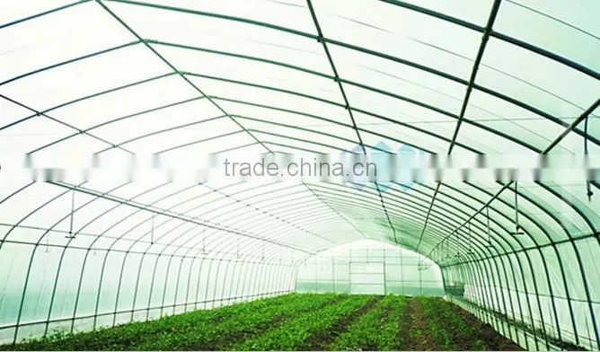 Tunnel greenhouse for sale