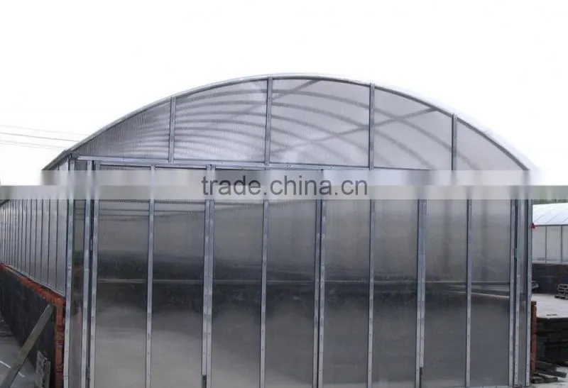 New Arrival Aoci Clear Color 8mm PC Sheet Greenhouse