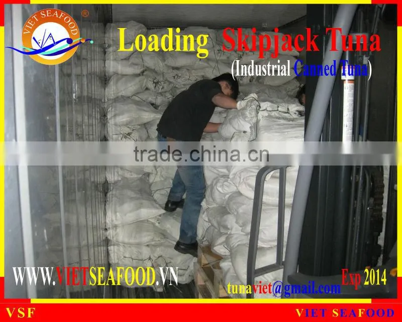LOADING FROZEN SKIPJACK TUNA W/R