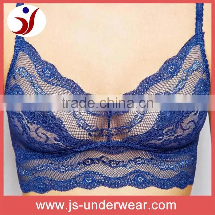 Sexy girls with transparent bra, women sexy polyester lace mature bra, ladies sheer sexy net bra