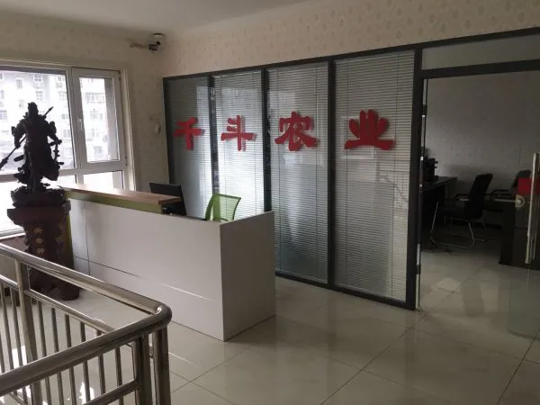 Hebei Qiandou Agriculture Products Trade Co,.Ltd company overview - view 1