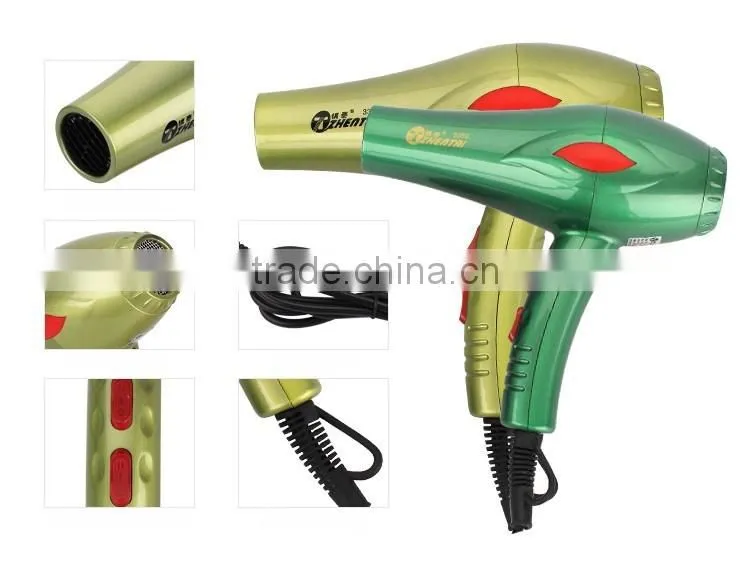 Ionic Professional Hair Dryer, 1200W to 2000W