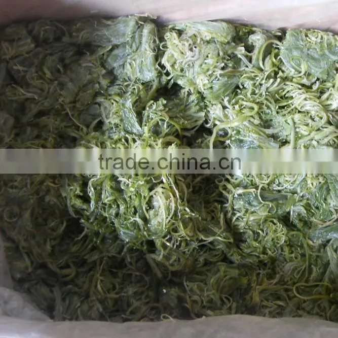 No Seasoning Frozen Wakame Stem Seaweed Raw Material