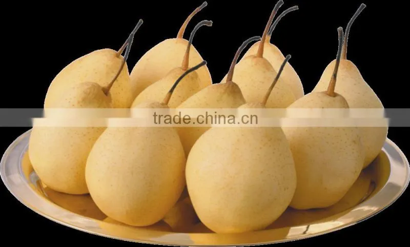 2016 good quality of the ya pear