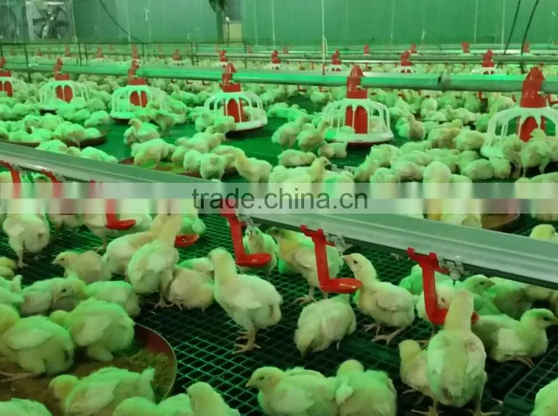 poultry keeping equipment