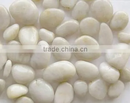 Modern landscaping polished pebble stone