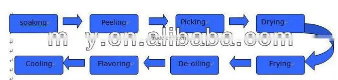 fried peanut processing line