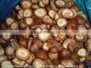 Top sale frozen shiitake mushroom new crop