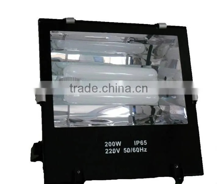 electrodeless induction lamp for flood light