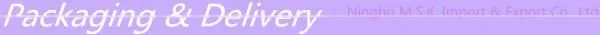 Wholesale classy buckle women leather boots