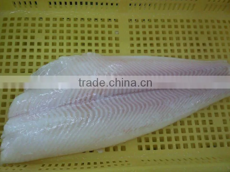 frozen pacific halibute fillet