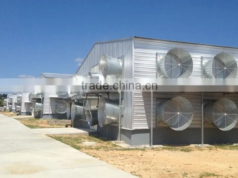 Steel structure poultry house QDXR14C-02F-01