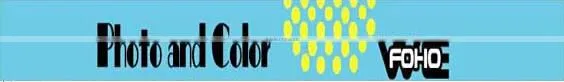 New fresh style water proof DIY easy clean plastic wardrobe (FH-AL0013-3)