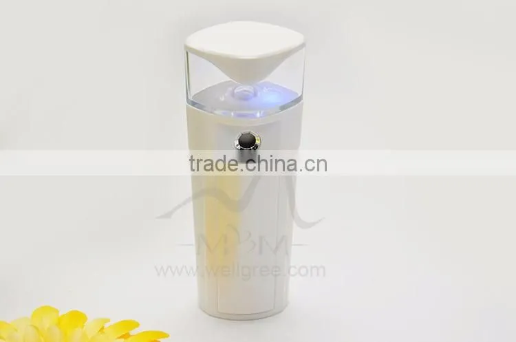 Christmas Promotion!!!!! mini nano spray handy mist facial care device electric mini sprayer