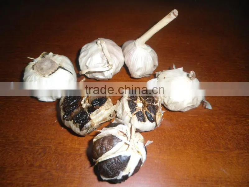 BLACK GARLIC (Skype: davis.thong)