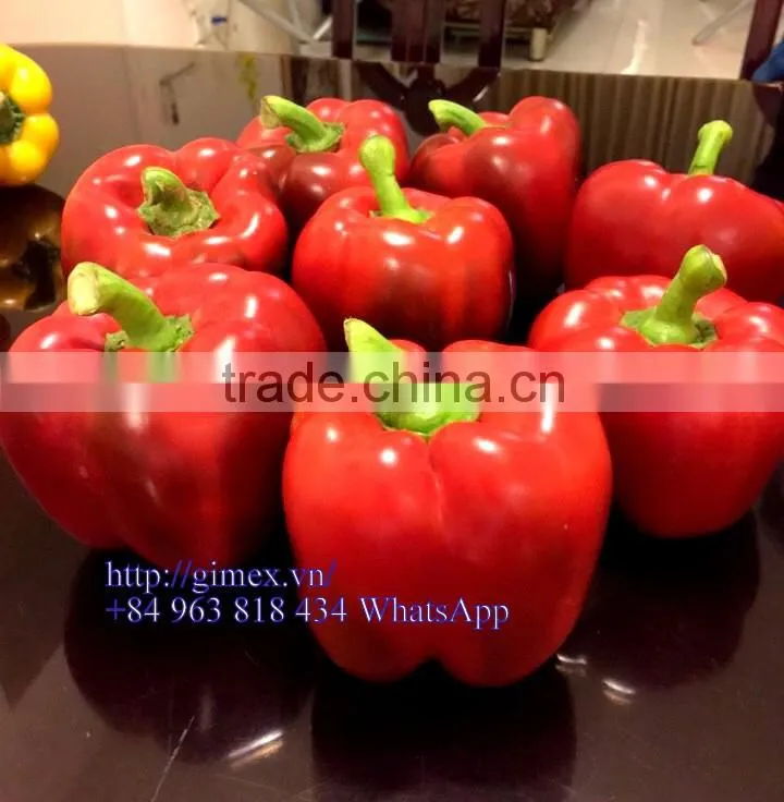 FRESH SWEET BELL PEPPER