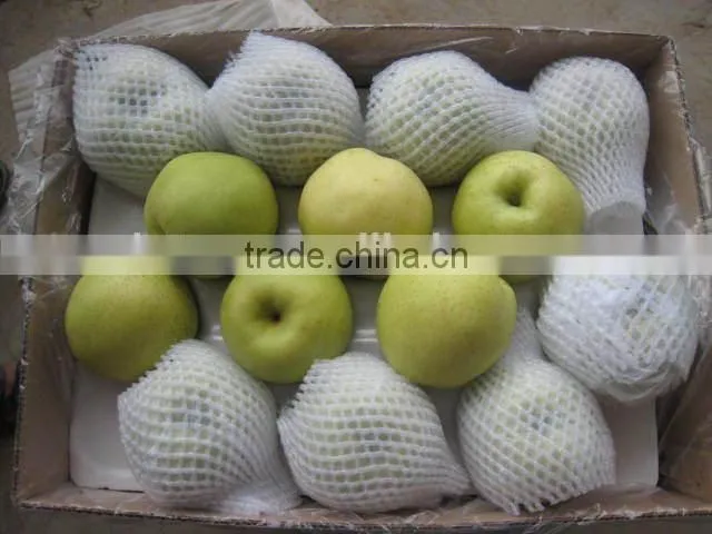 2014 crop shandong golden pear